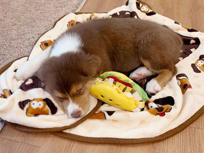 Snuggle Puppy accessories Snuggle Puppy Snuggle Blanket
