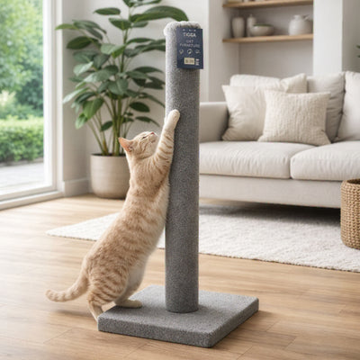 Tigga Toys Tigga Carpet Cat Scratch Pole