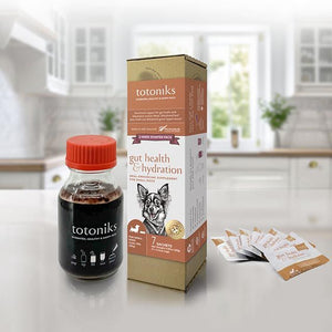 Totoniks Supplements Small Dog Totoniks Gut Health & Hydration Starter Pack