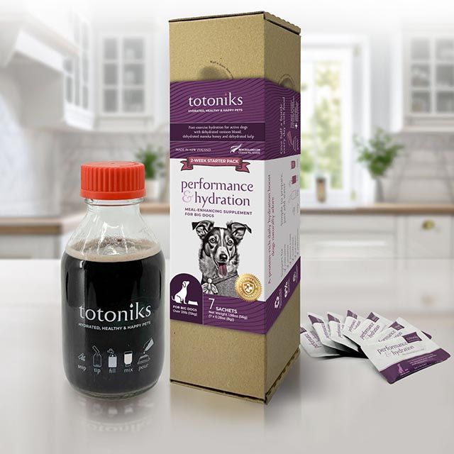 Totoniks Supplements Small Dog Totoniks Performance & Hydration  Starter Pack