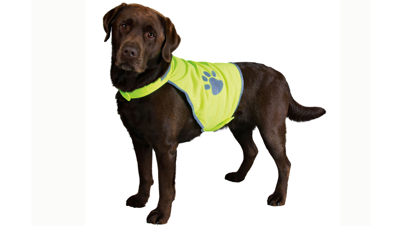 TRIXIE Apparel Reflective Safety Vest for Dogs