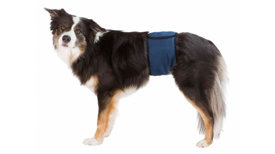 TRIXIE Toiletries Trixie Belly Band for Male Dogs