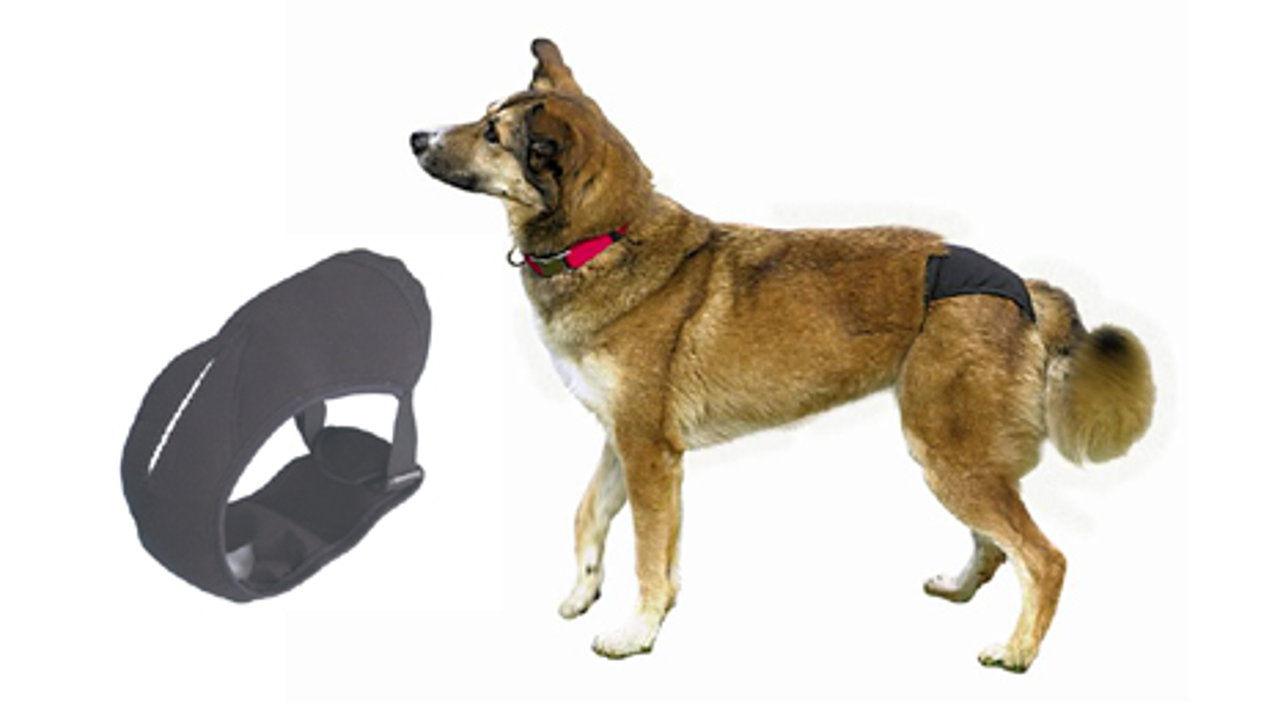 TRIXIE Toiletries Trixie Protective Dog Pants