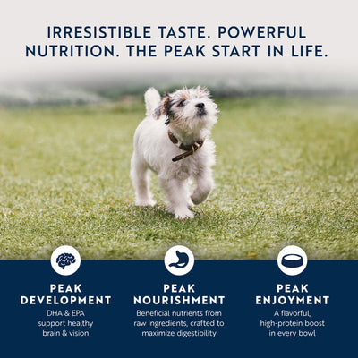 Ziwi Peak Canned Food Ziwi Peak Canned Chicken With Lamb Puppy Food 170g