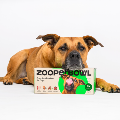 ZooperBowl Frozen Food ZooperBowl Complete Raw Diet for Dogs