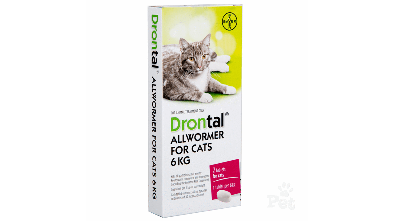Drontal wormers Drontal Allwormer Cat 6 kg 2 pack