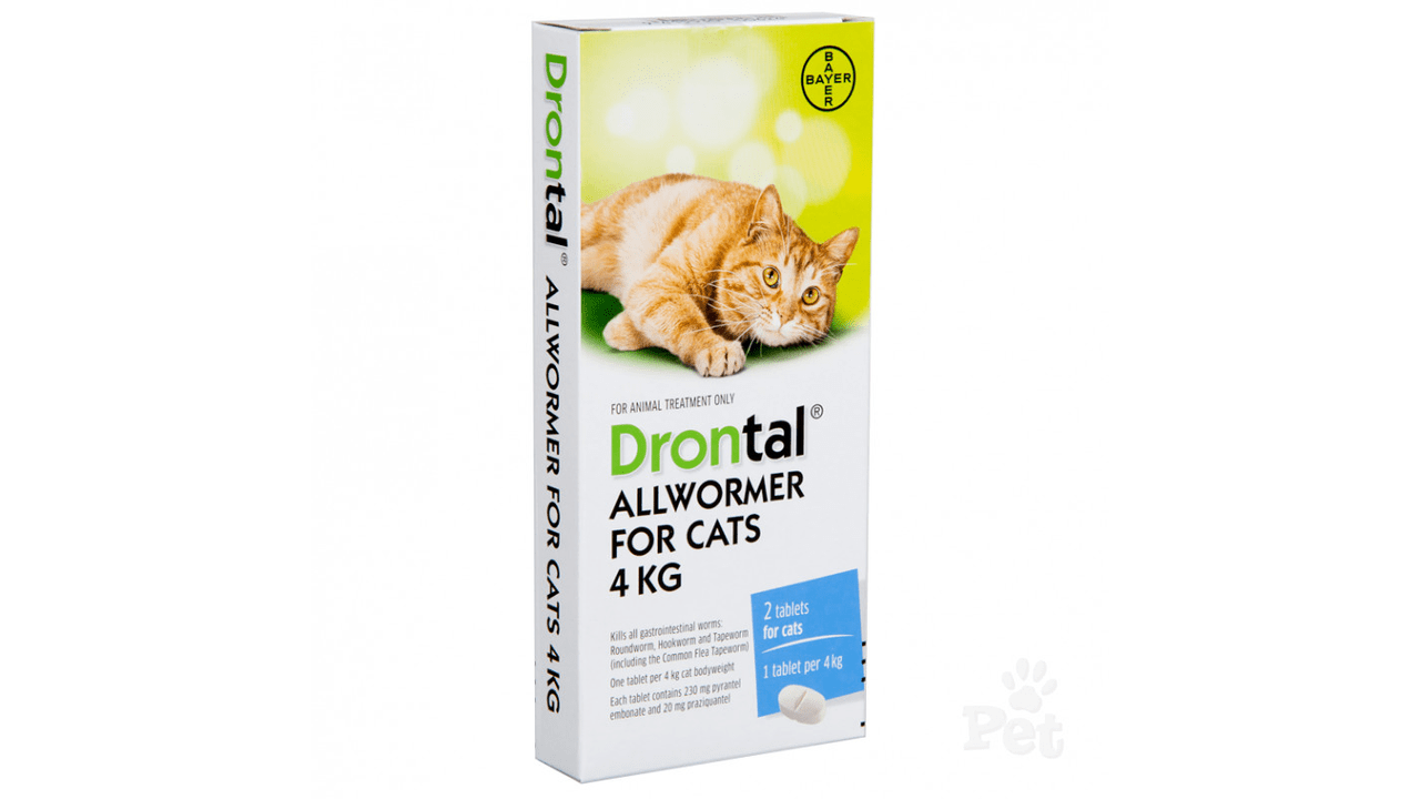 Drontal wormers Drontal Allwormer Cats  4 kg  2 pack