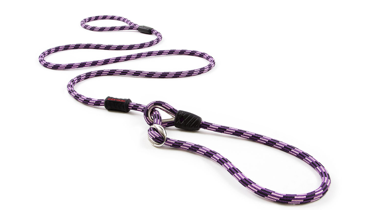EzyDog Collars / Leads EzyDog Luca Leash - Slip Lead