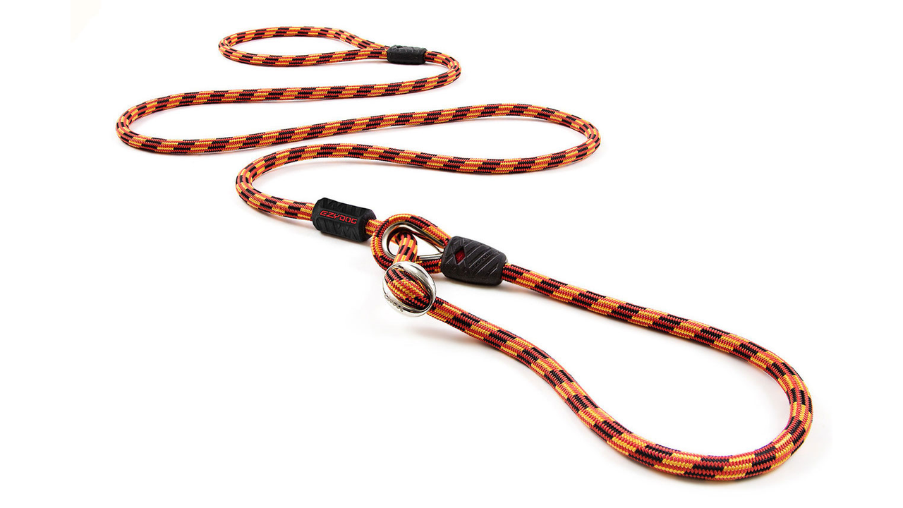 EzyDog Collars / Leads EzyDog Luca Leash - Slip Lead