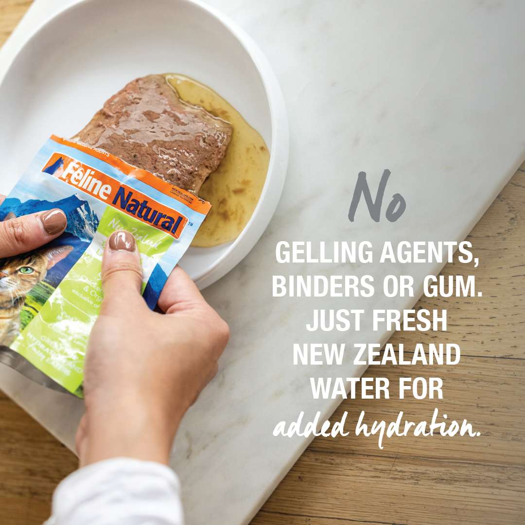 Feline Natural pouches Feline Natural Pouch 85g Lamb & Salmon