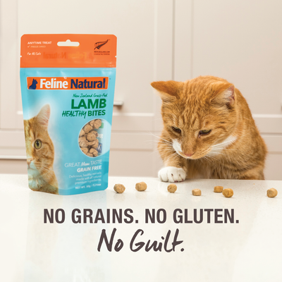 Feline Natural Treats Feline Natural Freeze Dried Lamb Healthy Bites 50g