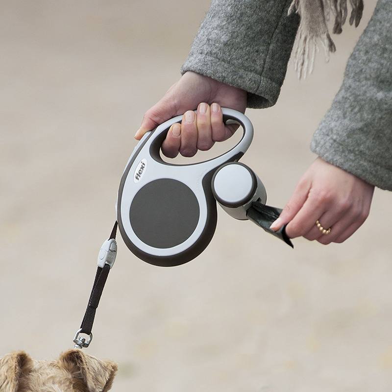 Flexi Collars / Leads Flexi Multi Box for treats or waste bags