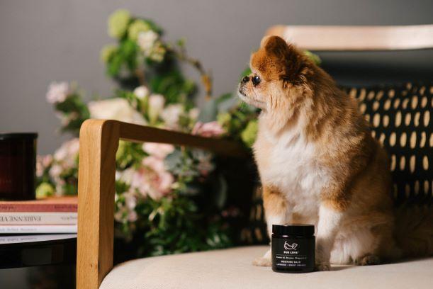 Fur Love Grooming Aids Fur Love Lavender Sweet Orange  Moisture Balm 100ml