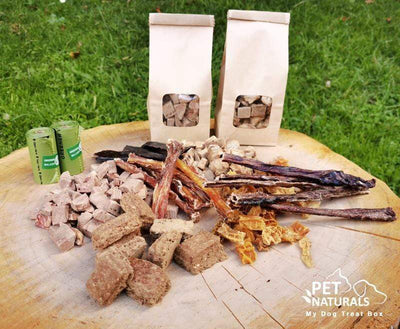 pet naturals Treats Pet Naturals Dog Treat Box Large