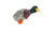 Playtime Toys Playtime Quacker  Mallard Small