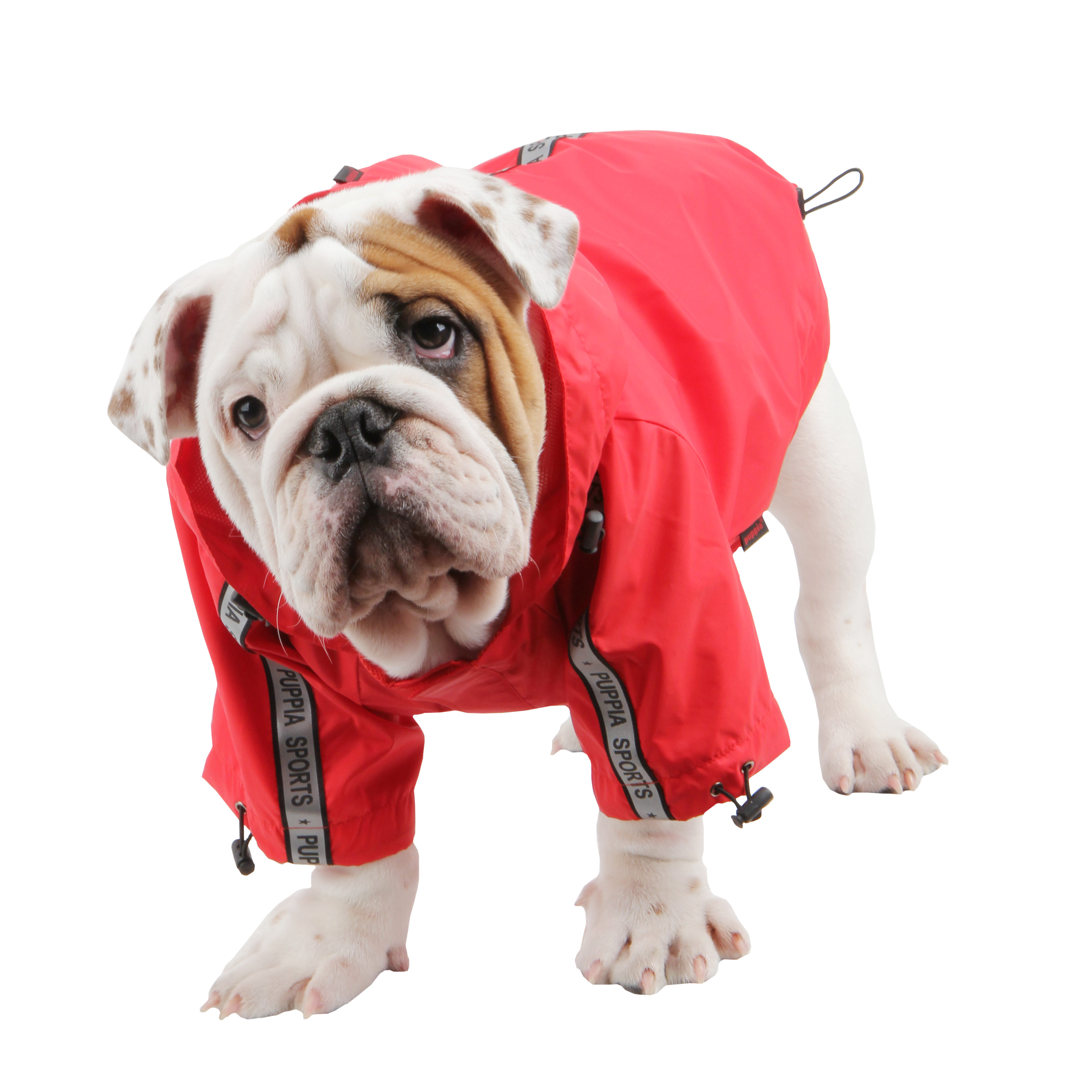 Puppia Apparel L / Red Puppia Base Jumper Raincoat