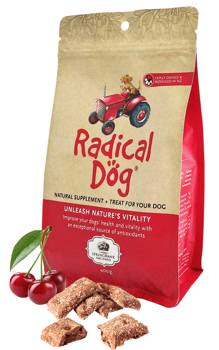 Radical Dog Treats Radical Dog Treat 400g