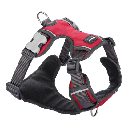 Red Dingo Harnesses / Haltis Red Dingo Padded Harness