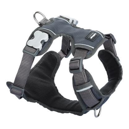 Red Dingo Harnesses / Haltis Grey / XS Red Dingo Padded Harness