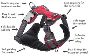 Red Dingo Harnesses / Haltis Red Dingo Padded Harness