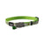 Rogz Collars / Leads Lime Reflectocat Safeloc  Cat Collar Dayglo 20cm - 31 cm 11mm