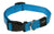 Rogz Collars / Leads Rogz Classic Collar  M 26-40cm