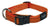 Rogz Collars / Leads Rogz Classic Collar  M 26-40cm