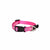 Rogz Collars / Leads Pink Paw Rogz Collar Fancy Dress S 20-31cm