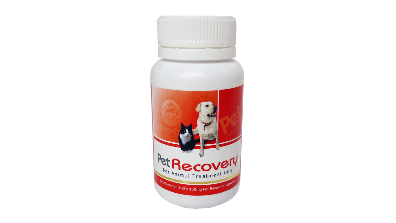 Silberhorn Supplements Pet Recovery 100 capsules