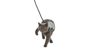 TRIXIE Harnesses / Haltis Soft Cat Harness