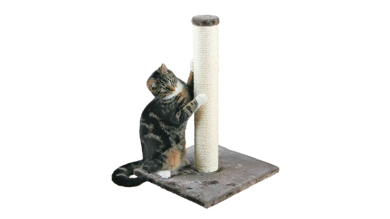 Trixie pet products parla scratching outlet post